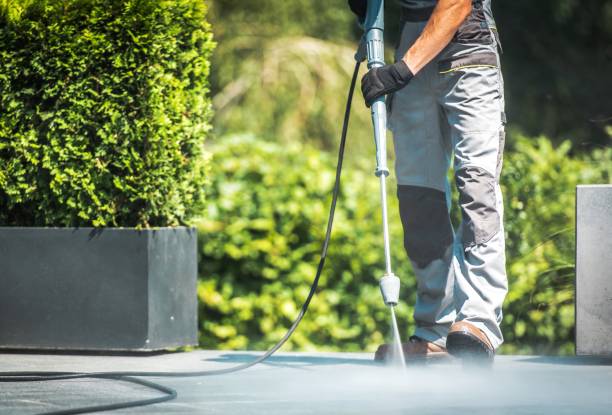 Trusted Hillcrest, IL Pressure washing Experts